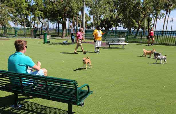 Artificial Grass For Pet Play Area