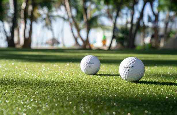 Synthetic Turf For Putting Greens Jupiter, FL