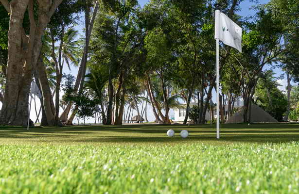 Synthetic Turf for Putting Greens