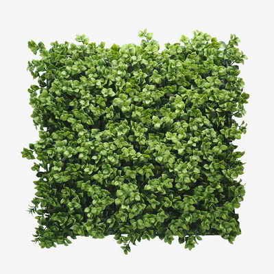 Green Walls Types in Miami