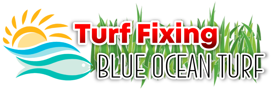 Turf Cleaning by Blue Ocean Turf