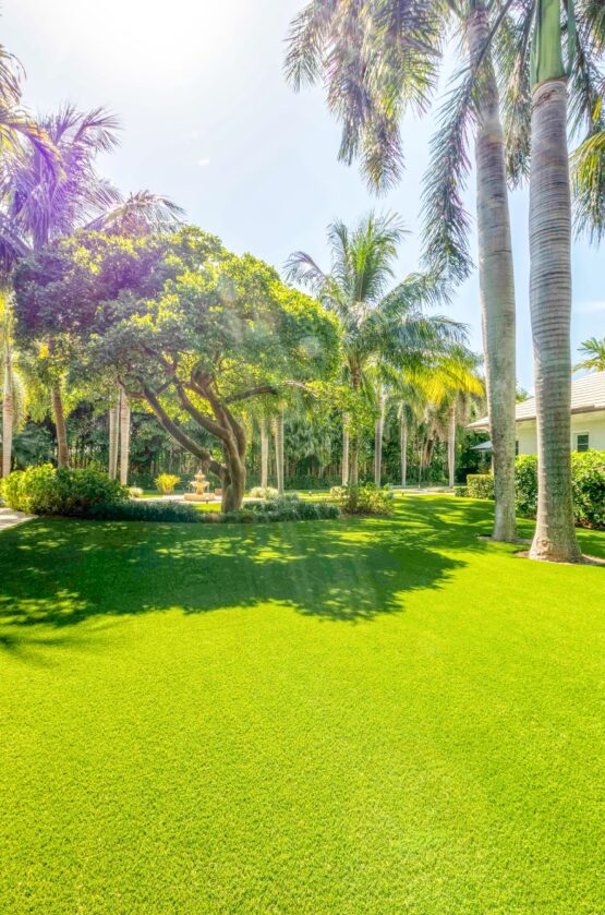 Artificial Grass Installation in 2022 by Blue Ocean Turf Recreation (19)