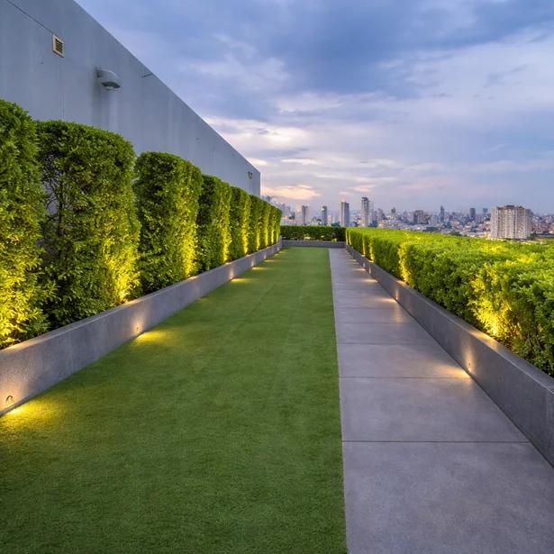 Best Artificial Turf for Rooftop in South Florida