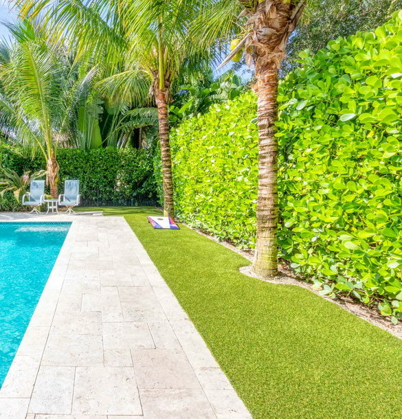 Pool Area Turf Compares - South Florida